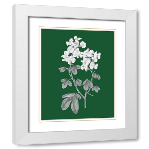 Green Botanical III White Modern Wood Framed Art Print with Double Matting by Wild Apple Portfolio