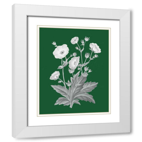 Green Botanical VI White Modern Wood Framed Art Print with Double Matting by Wild Apple Portfolio