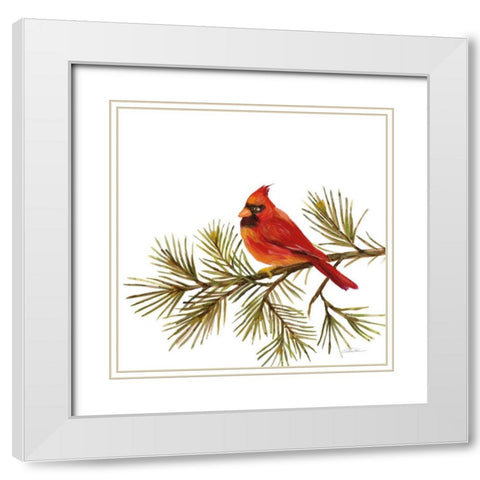 Cardinal Christmas V on White White Modern Wood Framed Art Print with Double Matting by Vassileva, Silvia