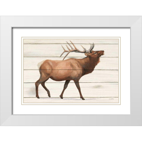 Northern Wild III on Wood White Modern Wood Framed Art Print with Double Matting by Wiens, James