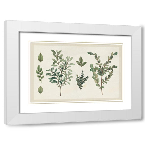 Victorian Garden Chart I White Modern Wood Framed Art Print with Double Matting by Wild Apple Portfolio