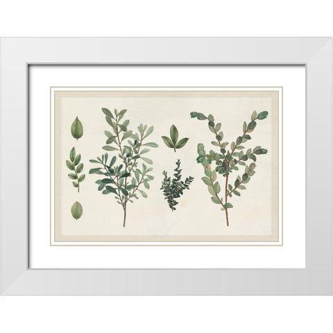 Victorian Garden Chart I White Modern Wood Framed Art Print with Double Matting by Wild Apple Portfolio
