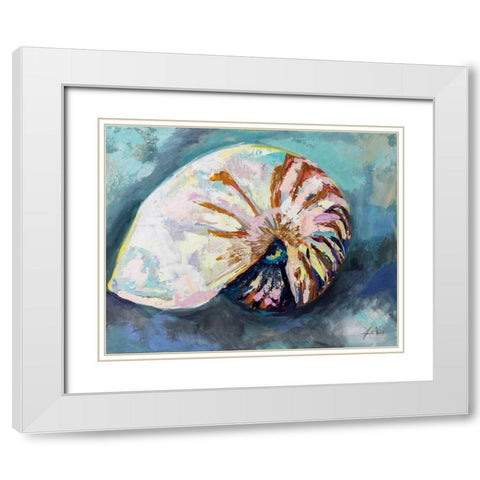 Nautilus Shell White Modern Wood Framed Art Print with Double Matting by Vertentes, Jeanette