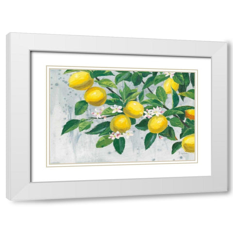 Zesty Lemons White Modern Wood Framed Art Print with Double Matting by Wiens, James