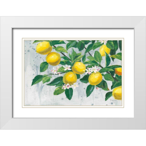 Zesty Lemons White Modern Wood Framed Art Print with Double Matting by Wiens, James