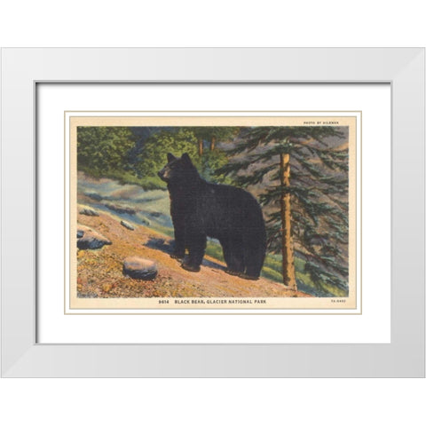Black Bear I Crop White Modern Wood Framed Art Print with Double Matting by Wild Apple Portfolio