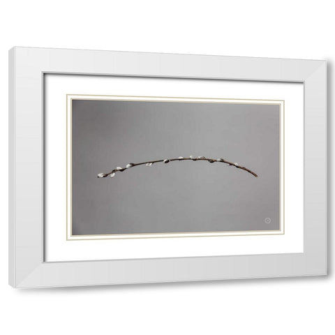 Springtime in the Air White Modern Wood Framed Art Print with Double Matting by Larson, Nathan