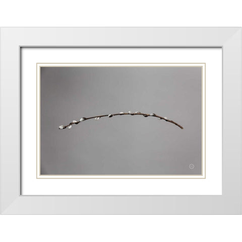 Springtime in the Air White Modern Wood Framed Art Print with Double Matting by Larson, Nathan