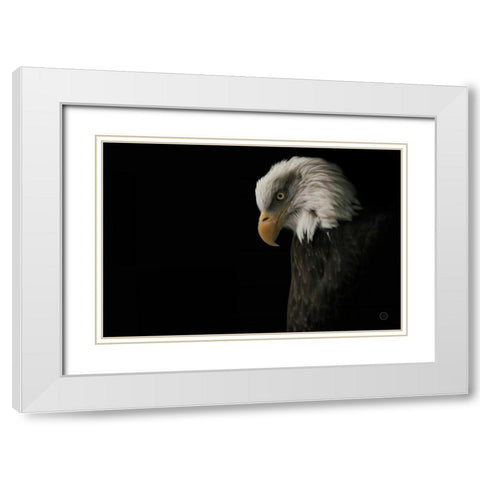 Eagle Bow White Modern Wood Framed Art Print with Double Matting by Larson, Nathan