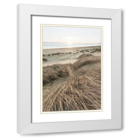 Beach Grasses White Modern Wood Framed Art Print with Double Matting by Majchrowicz, Alan