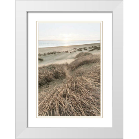 Beach Grasses White Modern Wood Framed Art Print with Double Matting by Majchrowicz, Alan