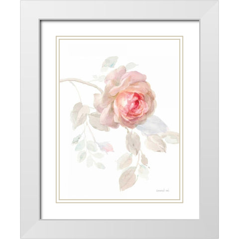 Gentle Rose I White Modern Wood Framed Art Print with Double Matting by Nai, Danhui