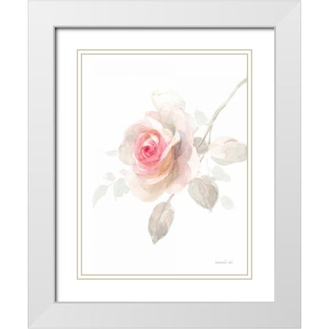 Gentle Rose II White Modern Wood Framed Art Print with Double Matting by Nai, Danhui