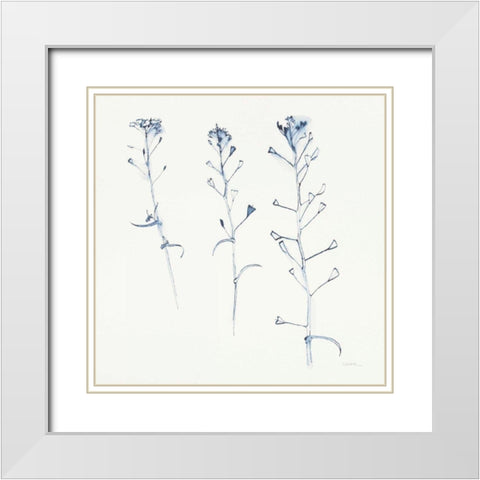 Shepherds Purse Stems I Blue White Modern Wood Framed Art Print with Double Matting by Novak, Shirley