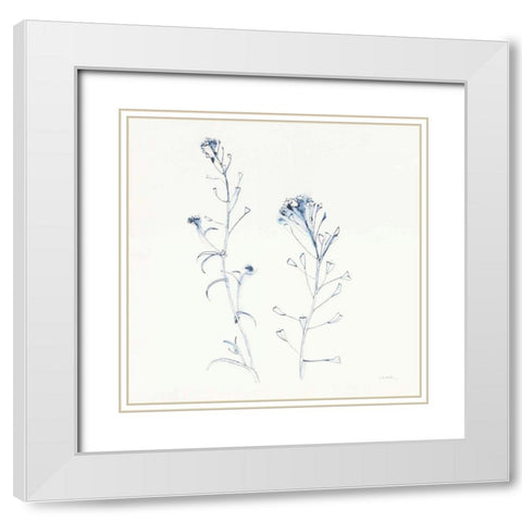 Shepherds Purse Stems II Blue White Modern Wood Framed Art Print with Double Matting by Novak, Shirley
