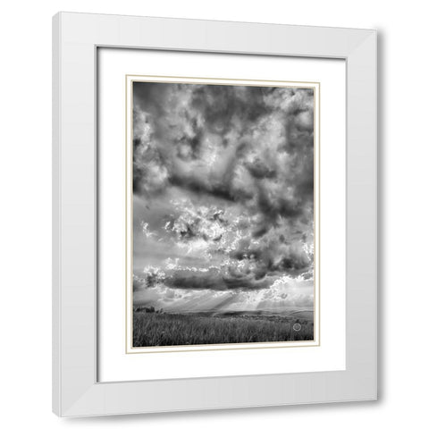 Rolling Pasture Rays White Modern Wood Framed Art Print with Double Matting by Larson, Nathan