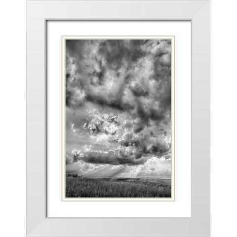 Rolling Pasture Rays White Modern Wood Framed Art Print with Double Matting by Larson, Nathan