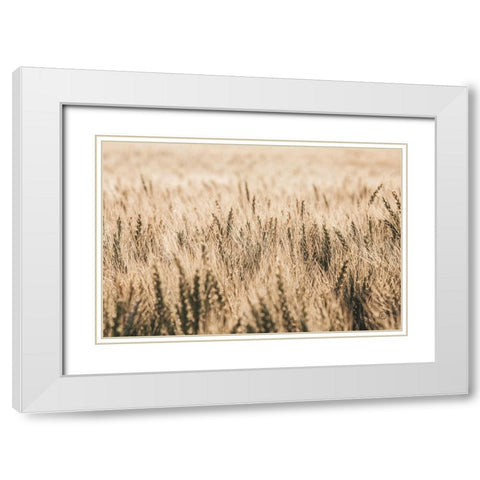 Dakota Wheat Fields White Modern Wood Framed Art Print with Double Matting by Larson, Nathan