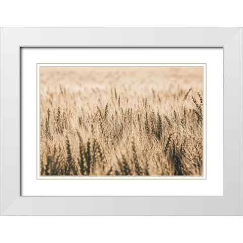 Dakota Wheat Fields White Modern Wood Framed Art Print with Double Matting by Larson, Nathan