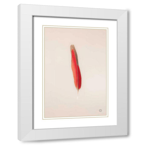 Floating Feathers II White Modern Wood Framed Art Print with Double Matting by Larson, Nathan