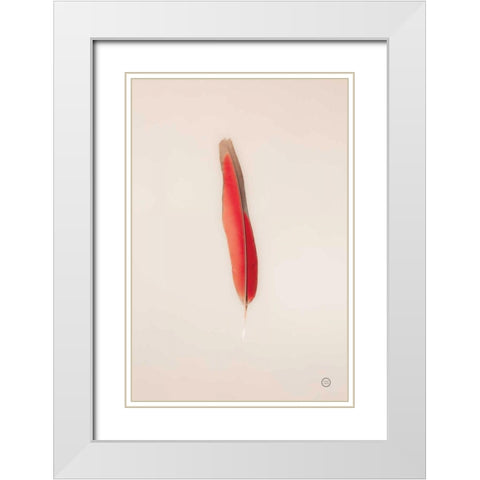 Floating Feathers II White Modern Wood Framed Art Print with Double Matting by Larson, Nathan