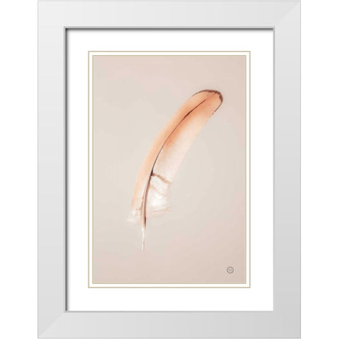 Floating Feathers III White Modern Wood Framed Art Print with Double Matting by Larson, Nathan