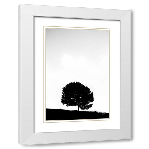Lone Tree Hill White Modern Wood Framed Art Print with Double Matting by Larson, Nathan