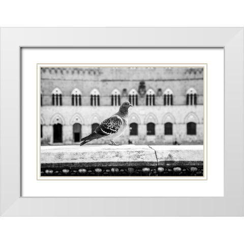 Il Piccione White Modern Wood Framed Art Print with Double Matting by Aledanda