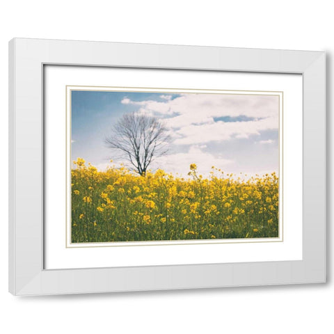 Spring Meadow White Modern Wood Framed Art Print with Double Matting by Aledanda