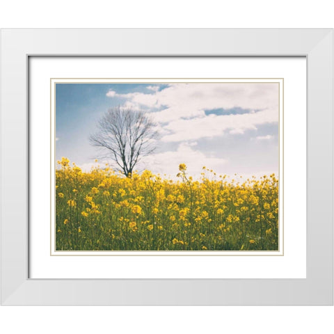Spring Meadow White Modern Wood Framed Art Print with Double Matting by Aledanda