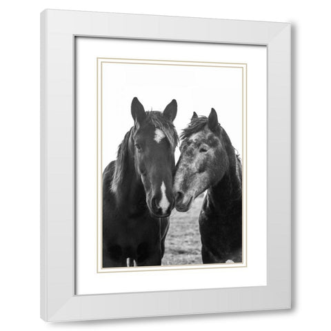 Good Friends Mane White Modern Wood Framed Art Print with Double Matting by Aledanda