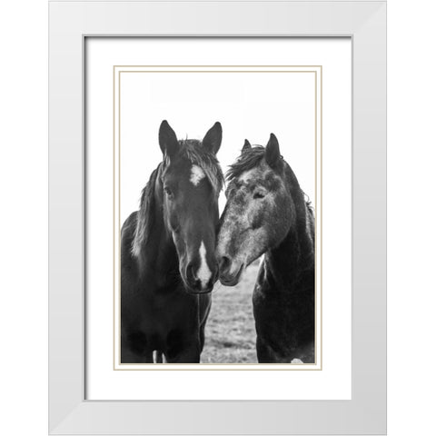 Good Friends Mane White Modern Wood Framed Art Print with Double Matting by Aledanda