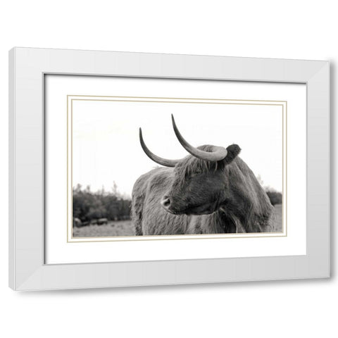 On the Ranch I No Tag White Modern Wood Framed Art Print with Double Matting by Eichman, Andre