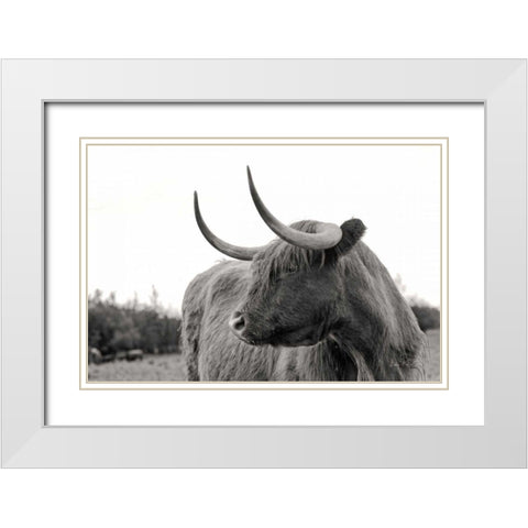 On the Ranch I No Tag White Modern Wood Framed Art Print with Double Matting by Eichman, Andre