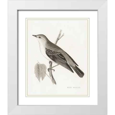 Engraved Birds III BW White Modern Wood Framed Art Print with Double Matting by Wild Apple Portfolio