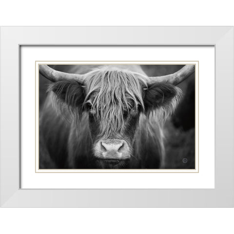 Cow Nose BW White Modern Wood Framed Art Print with Double Matting by Larson, Nathan