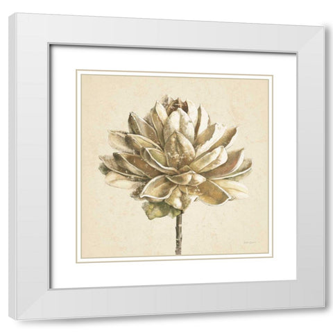 Seed Pod I No Words Cream White Modern Wood Framed Art Print with Double Matting by Grove, Beth