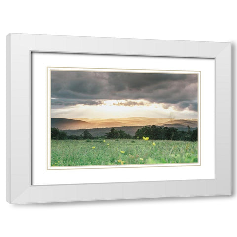 Laying in the Flowers White Modern Wood Framed Art Print with Double Matting by Larson, Nathan