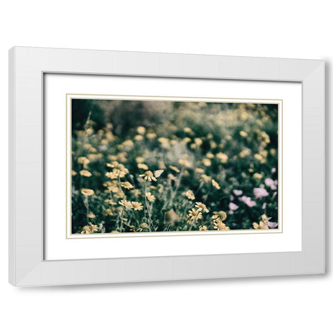 Field Friends Fade White Modern Wood Framed Art Print with Double Matting by Larson, Nathan