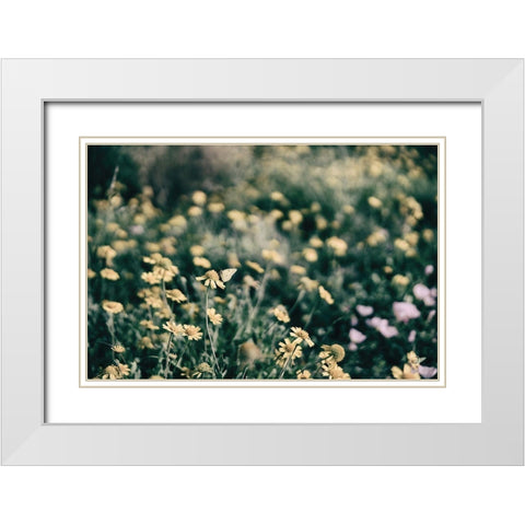 Field Friends Fade White Modern Wood Framed Art Print with Double Matting by Larson, Nathan