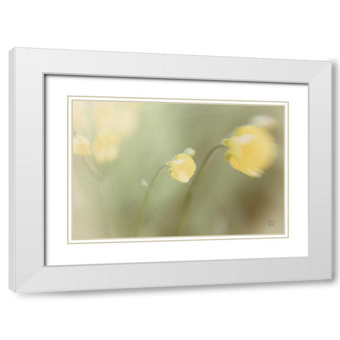 Field Trip White Modern Wood Framed Art Print with Double Matting by Larson, Nathan