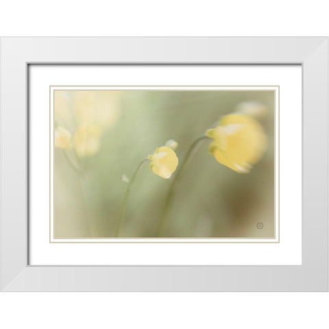 Field Trip White Modern Wood Framed Art Print with Double Matting by Larson, Nathan