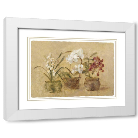 Collection of Orchids-48x35.5 White Modern Wood Framed Art Print with Double Matting by Blum, Cheri