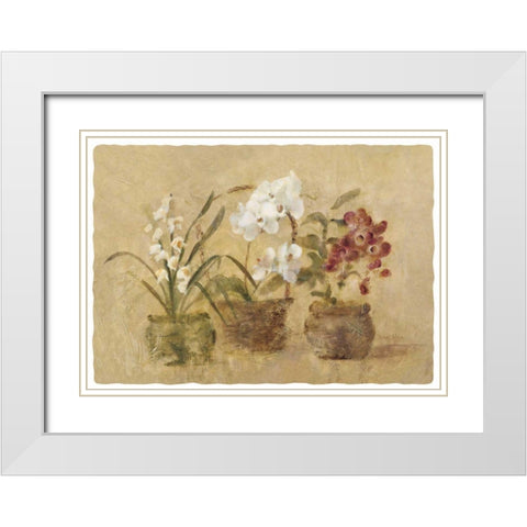 Collection of Orchids-48x35.5 White Modern Wood Framed Art Print with Double Matting by Blum, Cheri