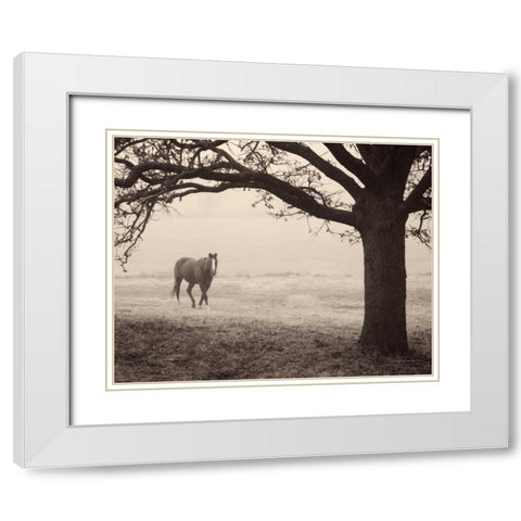 Hazy Horse I White Modern Wood Framed Art Print with Double Matting by Van Swearingen, Debra