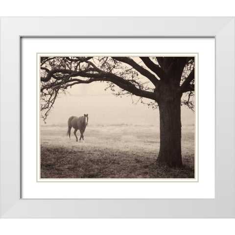 Hazy Horse I White Modern Wood Framed Art Print with Double Matting by Van Swearingen, Debra