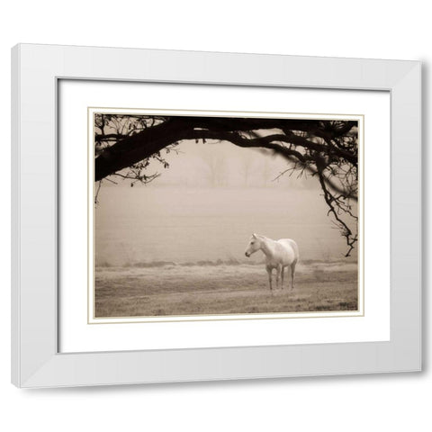 Hazy Horse II White Modern Wood Framed Art Print with Double Matting by Van Swearingen, Debra
