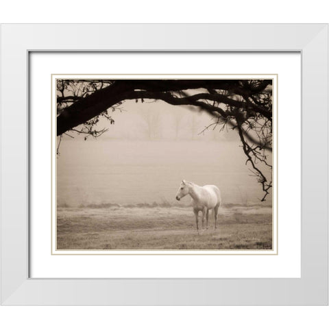Hazy Horse II White Modern Wood Framed Art Print with Double Matting by Van Swearingen, Debra