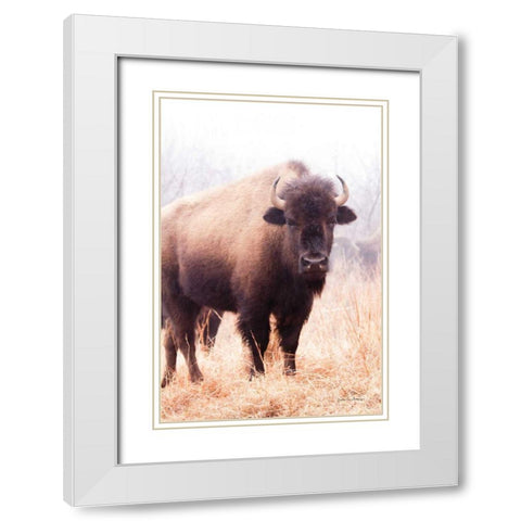 American Bison V White Modern Wood Framed Art Print with Double Matting by Van Swearingen, Debra