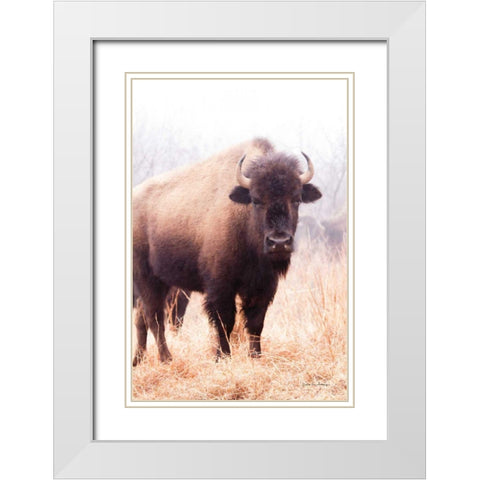 American Bison V White Modern Wood Framed Art Print with Double Matting by Van Swearingen, Debra